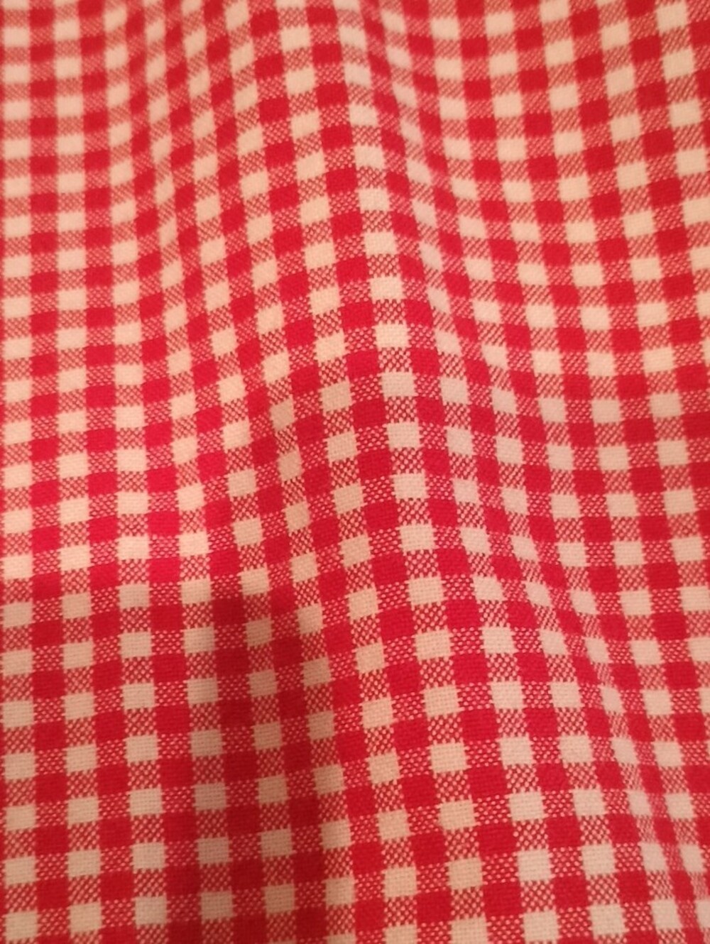 Little English Red and White Gingham Button-Down Shirt - Picture 3 of 3